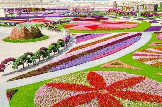 'Dubai Miracle Garden, UAR'..