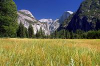 Yosemite Meadows & Half Dome in Yosemite National Park, California (Jon Sullivan)