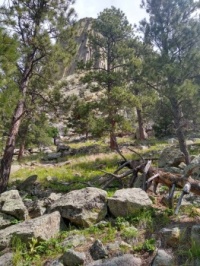 Devil's Tower near Hulett Wyoming USA