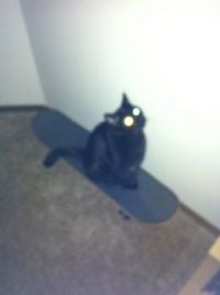 Green Laser eyes