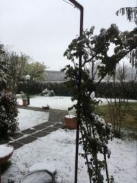 Snow ! Bologna, 26/03/2020