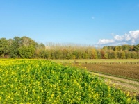 Belgium_Houwaart_Vlaams_Brabant