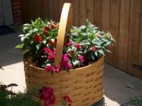The Joy of Gardening!
