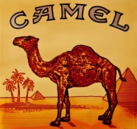 Camel Cigs 🚬