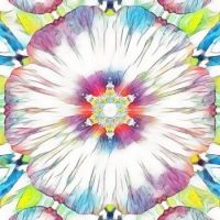 hibiscus kaleidoscope 2