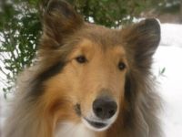 Zoe