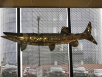 Fish sculpture (Sturgeon??)