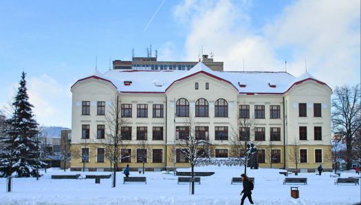 Střední zdravotnická škola, School of Nursing, Vsetín