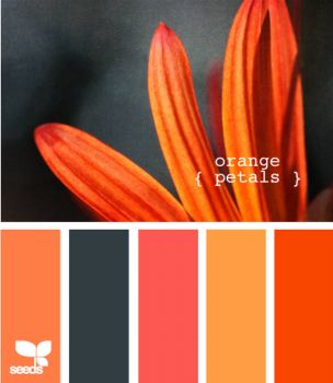 OrangePetals610