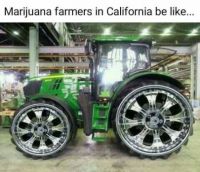 California Marjuana Farmer's ride