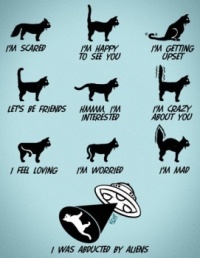 Cat owner user chart