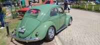 VW Beetle (Fusca)