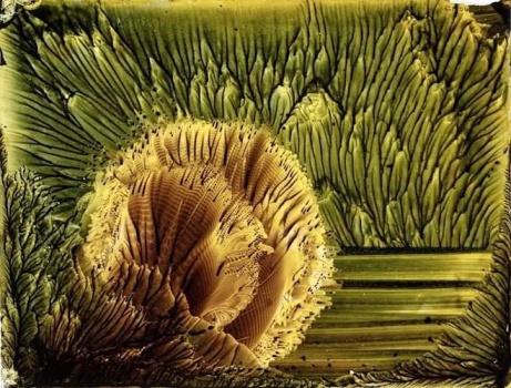 Solve Margaret Watts Hughes, pigment on glass, made by voice vibrations ...