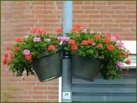 Leve de gemeente Rotterdam