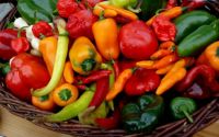 enjoy the colourful peppers