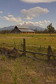 THEME: "Barns & Fences" with Mt Shasta  (smaller)
