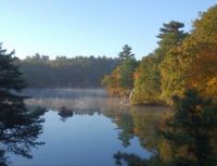 Mist on the pond in autumn