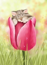 Kitten and Tulip