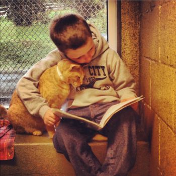 Reading to a shelter pal