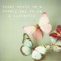 be a butterfly.
