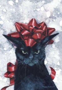 Christmas with the Newcomer