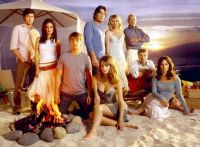 Shows to Watch: The OC