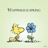 Theme: Spring is in the air