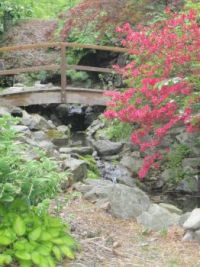 Azalea Garden