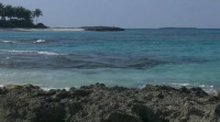 BAHAMY