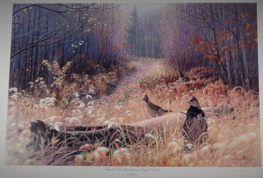 Trails End Sanctuary-Ruffed Grouse by Jim Kasper