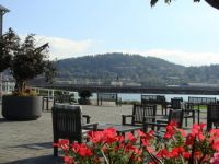 bellingham