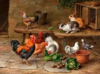 Chickens and Bunnies