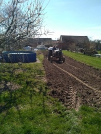 Jarní příprava zahrady    (Spring garden preparation)