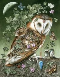 Owl (12 - 99 Pieces)