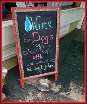 Give a Dog a drink