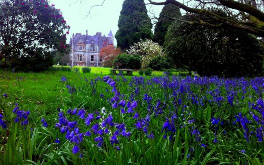 Castle Garden