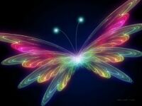 butterfly-rainbow-colors-