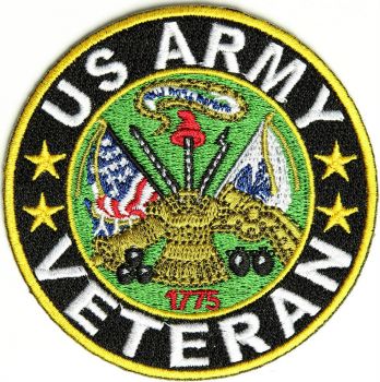 Solve Army Veteran jigsaw puzzle online with 256 pieces