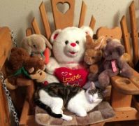 Kitty Button and friends