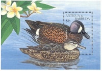 Postage Stamps - Barbuda Mail - Blue Winged Teal