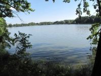 From the Posměch Fishpond