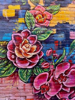 Roses Beamsville