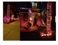 Halloween on my Block