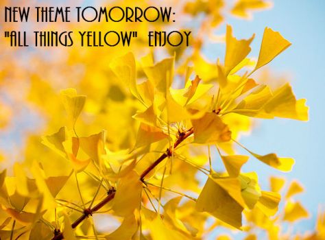 New Theme Tomorrow:  "ALL THINGS YELLOW"  Let's have fun!