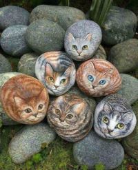 Rocks for cat lovers