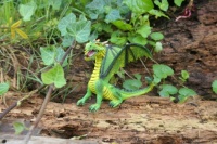 Little Dragon Challenge XX