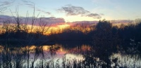 Winter Sunset