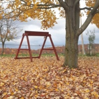 Fall - 1