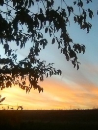Beautiful October Sunset!