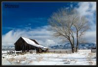 Twaddle-Pedroli Ranch barn, Washoe Valley, NV